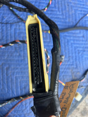 45903501