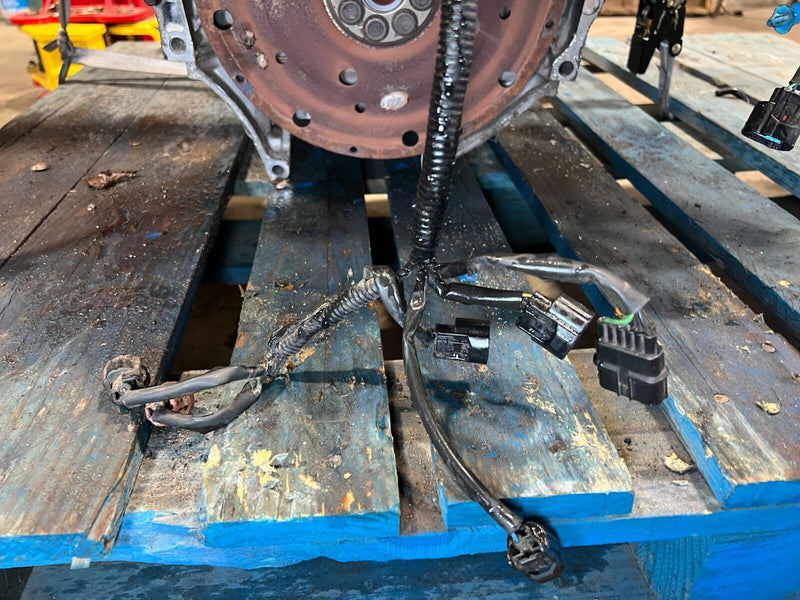 43983928
