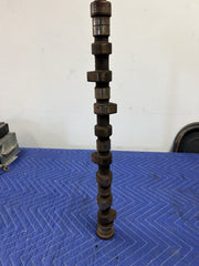 43770923