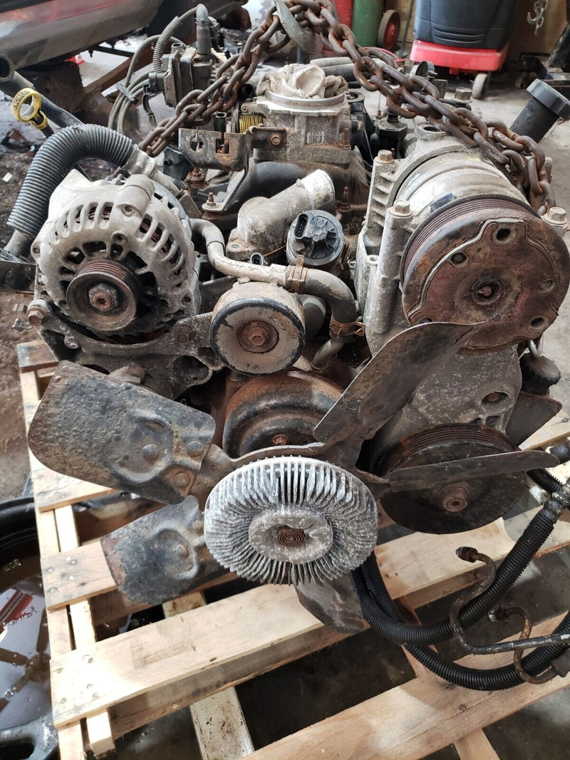 43770497