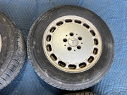 45501419
