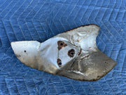 45172628