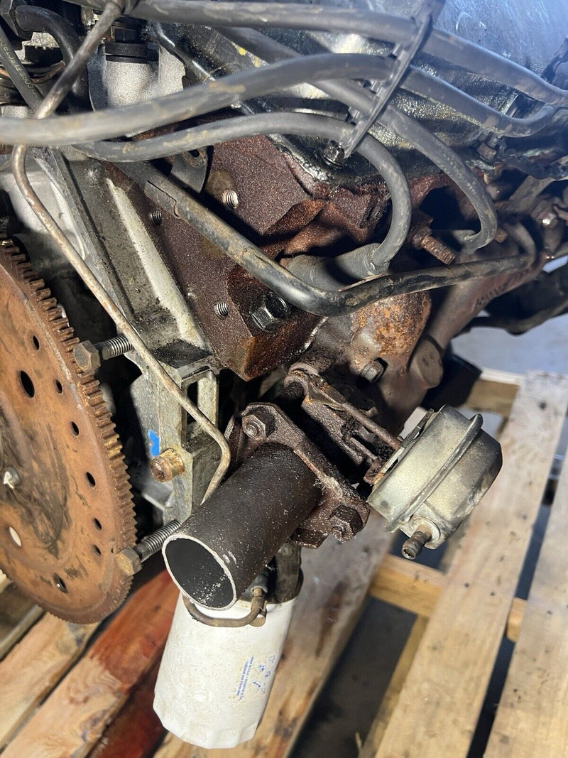44097436