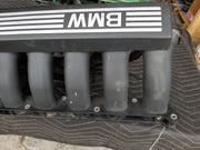 44376151
