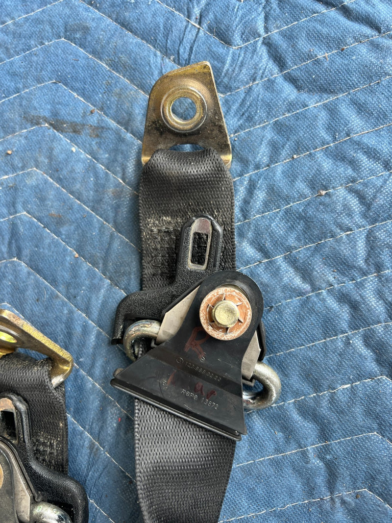45507893