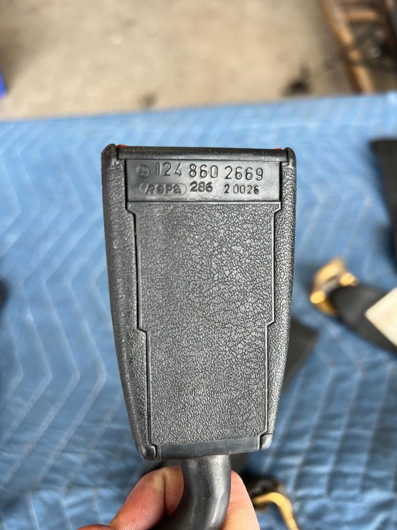 45507819