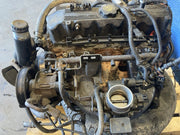 43770296