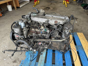 43960077