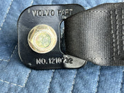 44546954