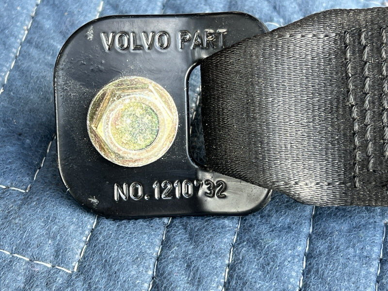 44546954