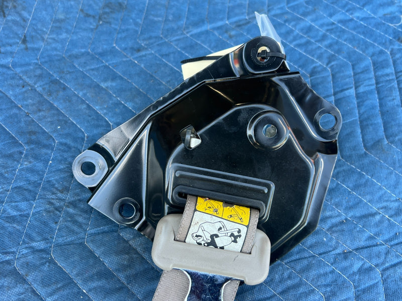 45952564