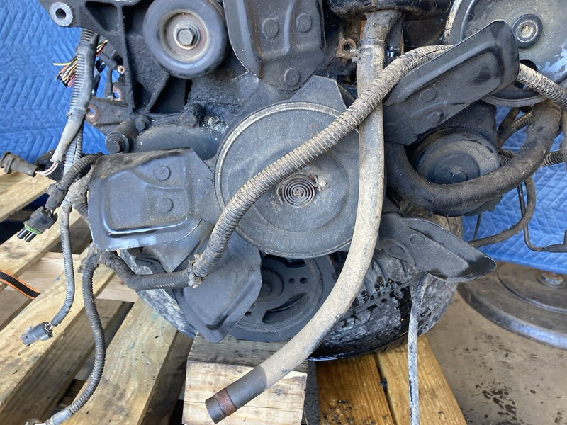 43770296