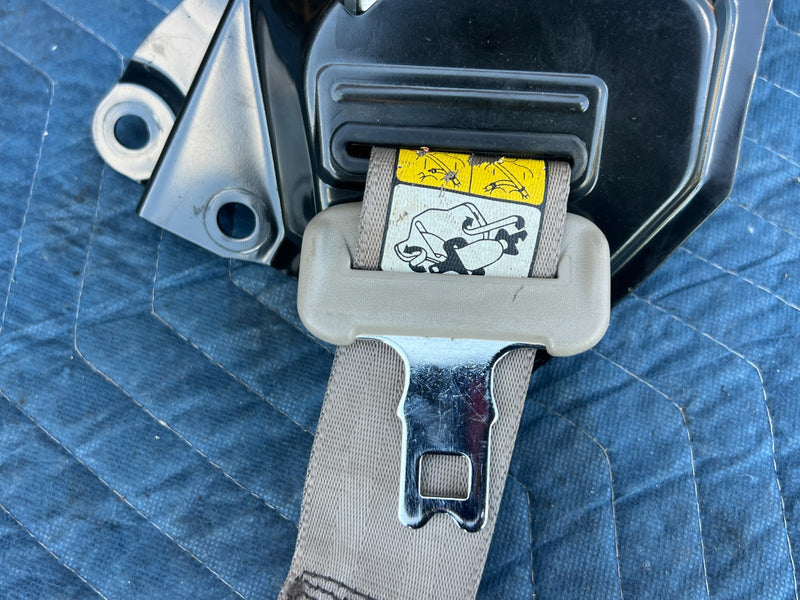 45952564