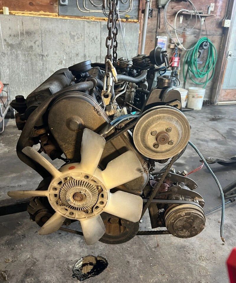 45526424