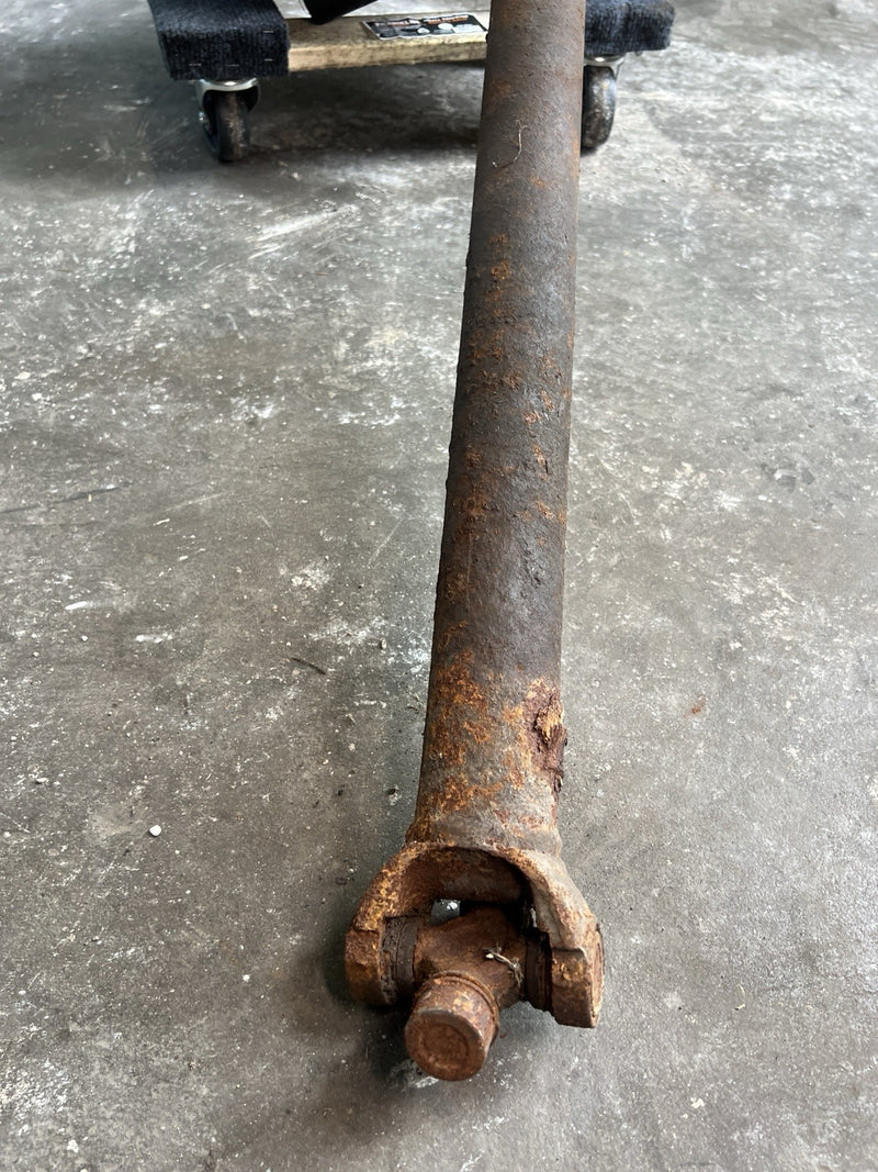 45525117
