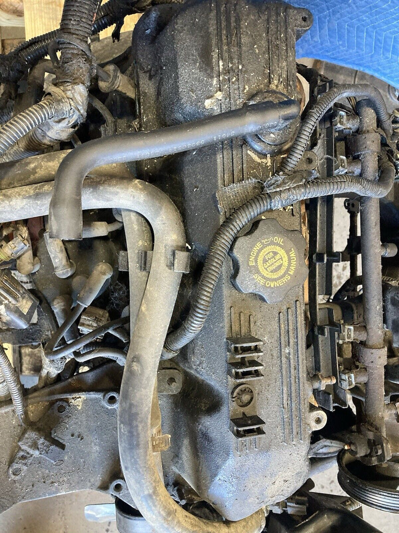 43770296
