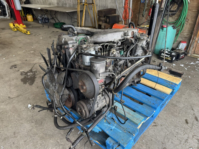 43960077