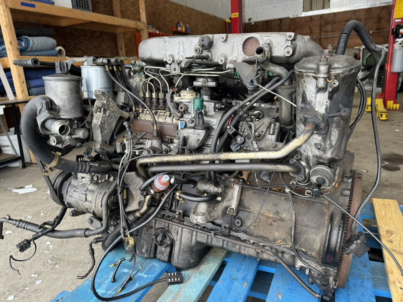 43960077