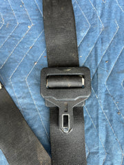 45507819