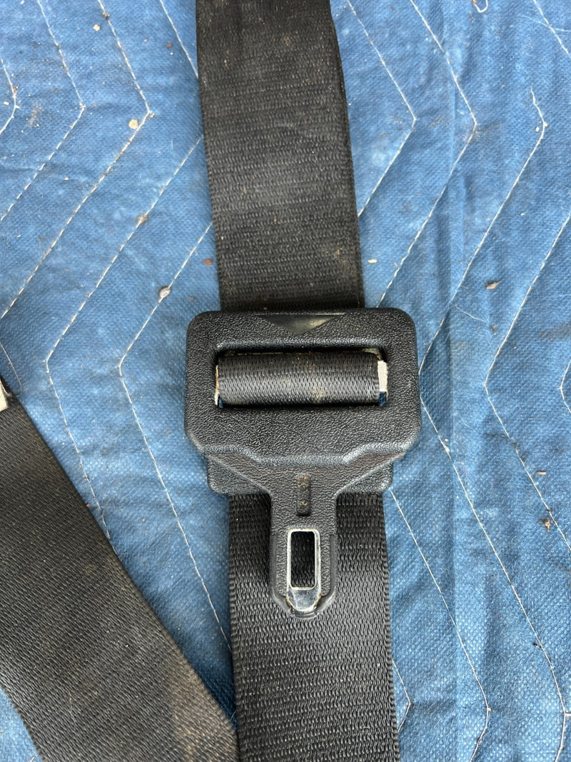 45507819