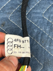 44888841