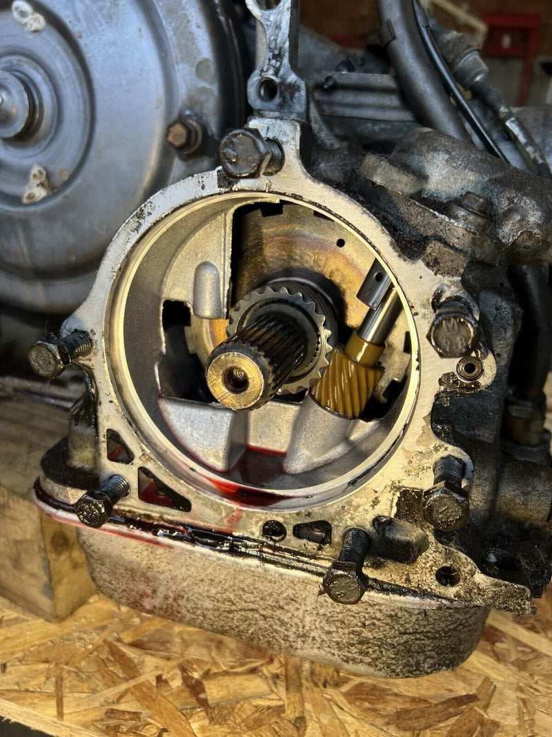 44097447