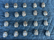 45904450