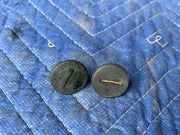 45903059