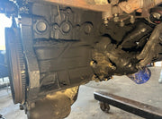 45526424