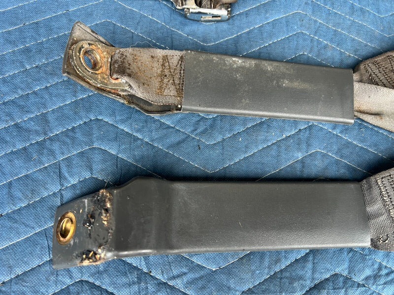 44081676