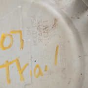 47027119