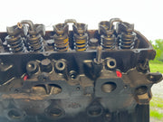 46819772