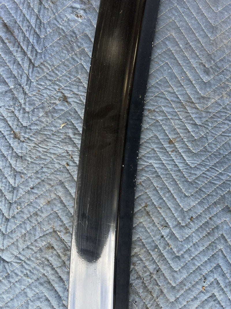 43770462
