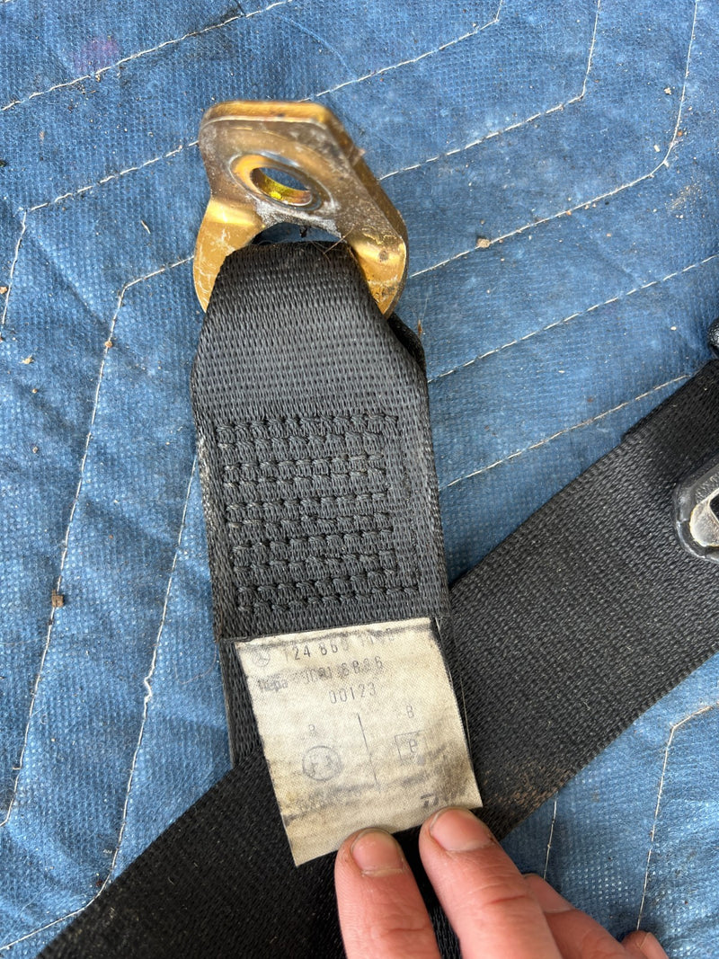 45507819