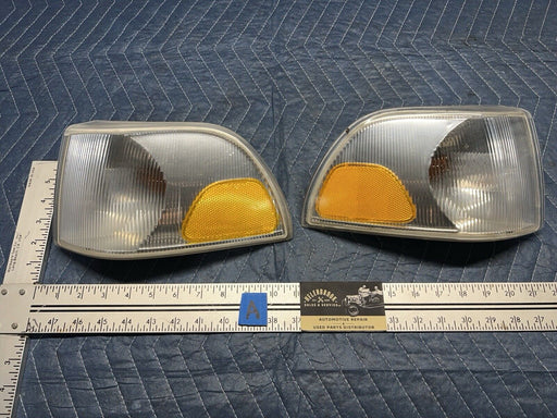 43770602