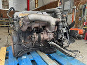 43960077