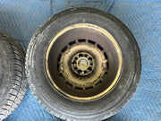 45501419