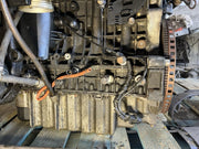 43771131