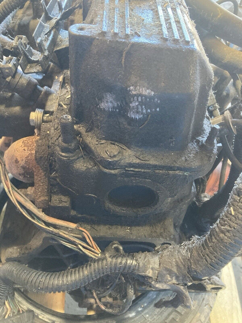 43770296