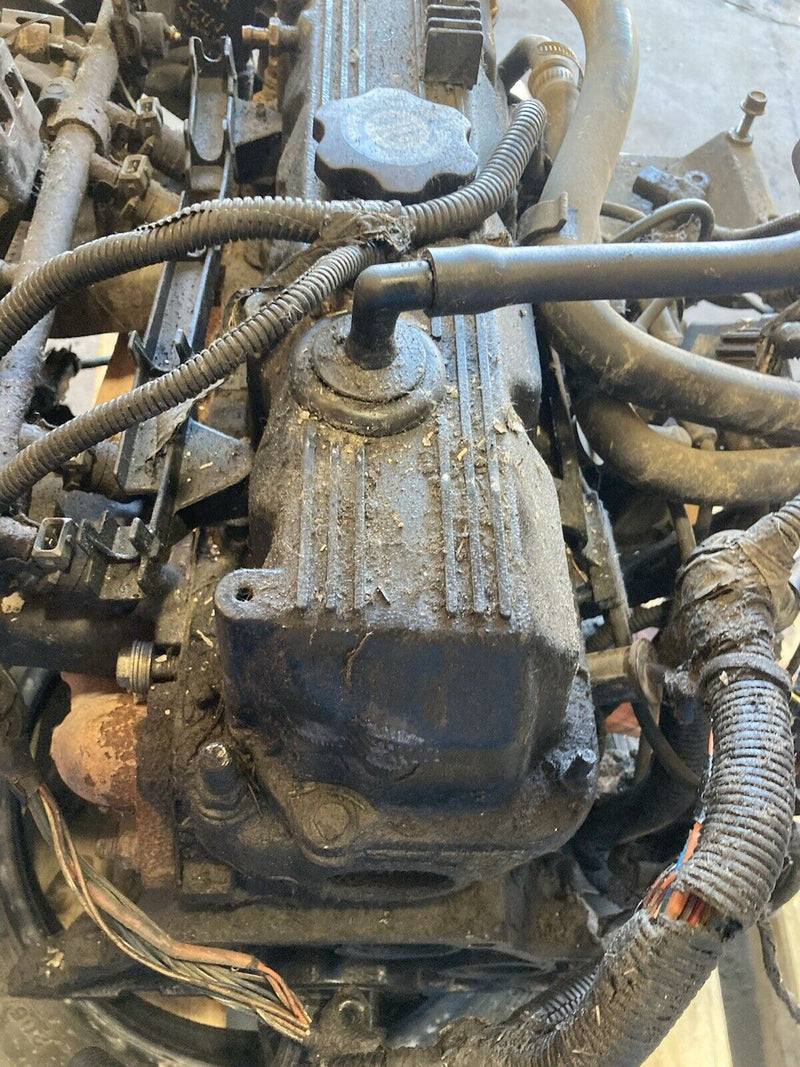 43770296