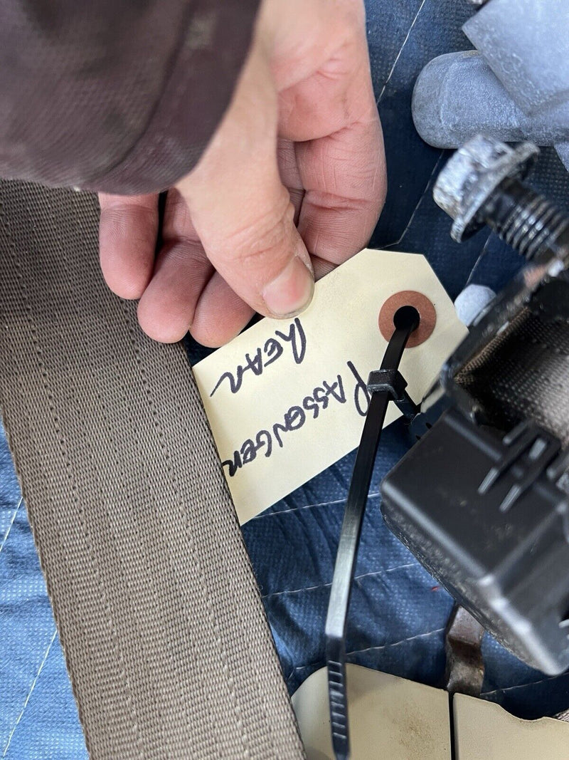44102331
