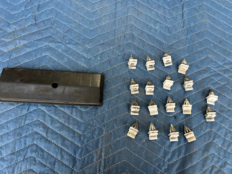43830081