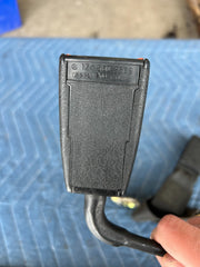 45507819
