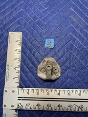 46816382