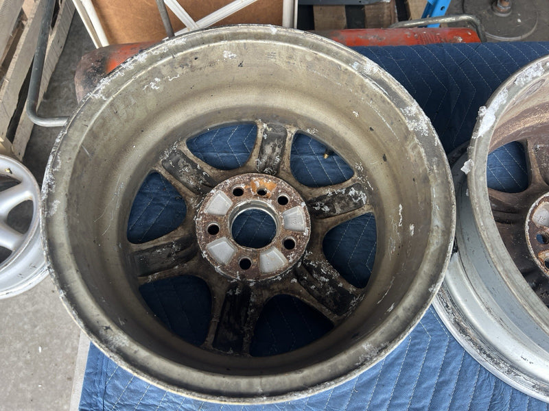44398558