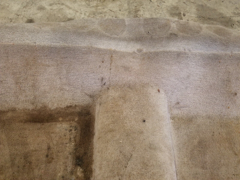 46763961