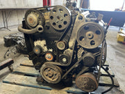 43771131