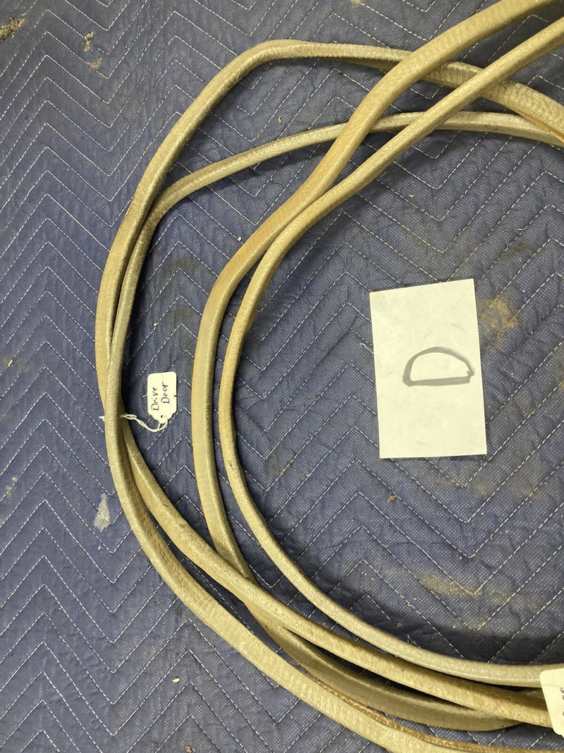 46763504