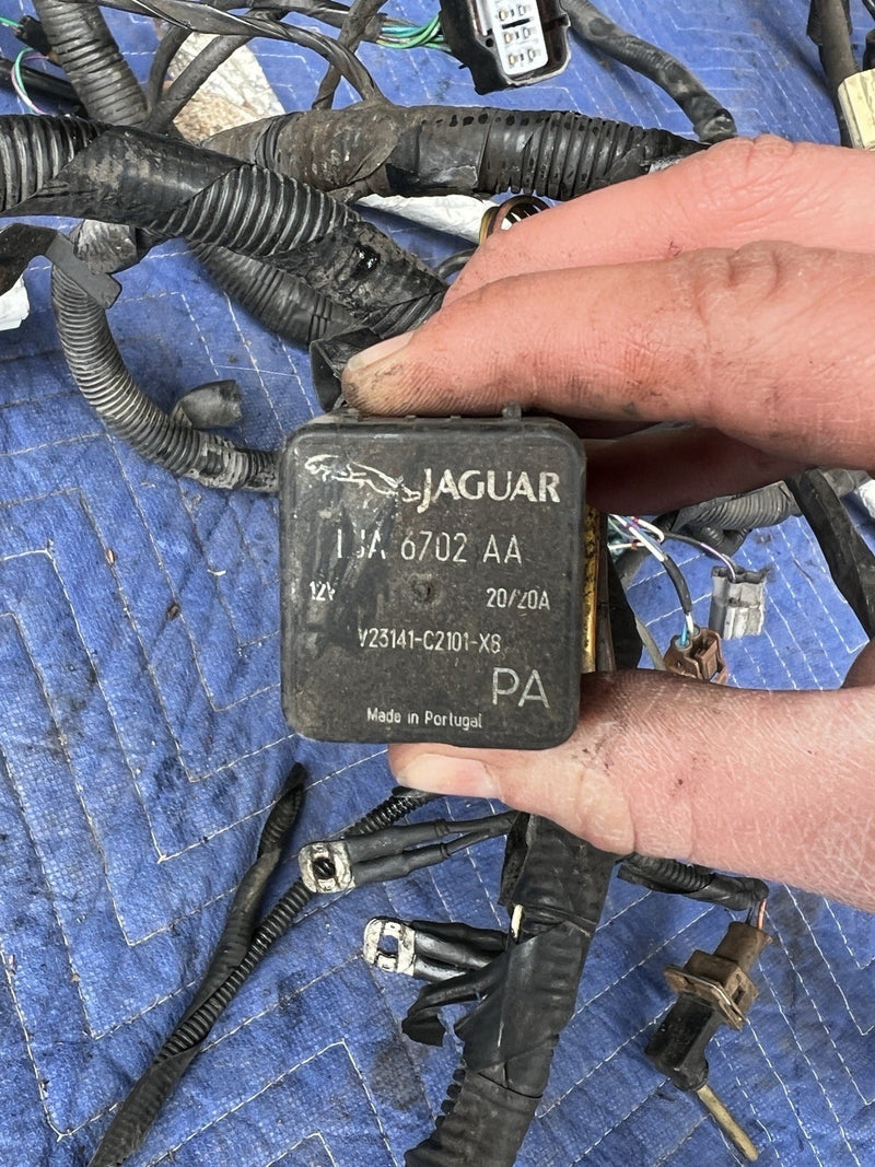 45512828