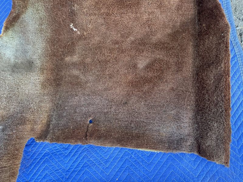 1967-1974 Volvo 140 142 Molded Carpet Full Set Brown OEM #5081EM